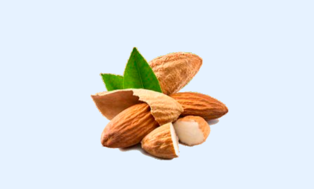 MANDORLE