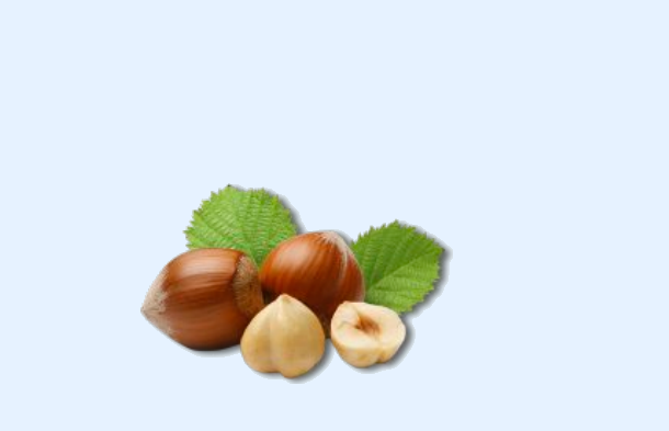 NOCCIOLE