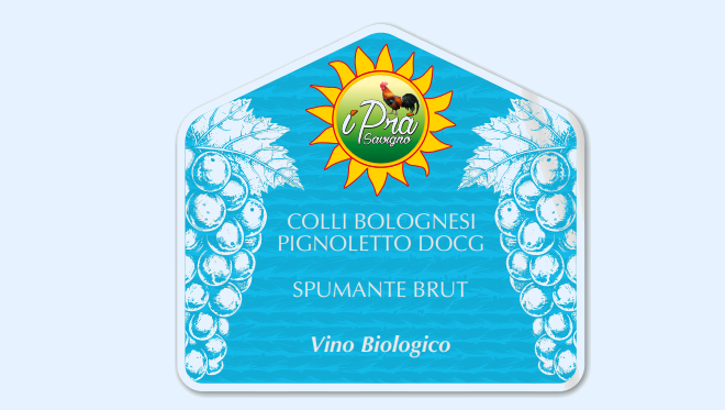 COLLI BOLOGNESI PIGNOLETTO DOCG SPUMANTE BRUT — Vino Biologico