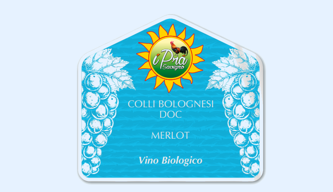 COLLI BOLOGNESI MERLOT DOC — Vino Biologico